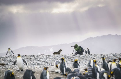 Falkland Islands – South Georgia – Het Antarctisch Schiereiland