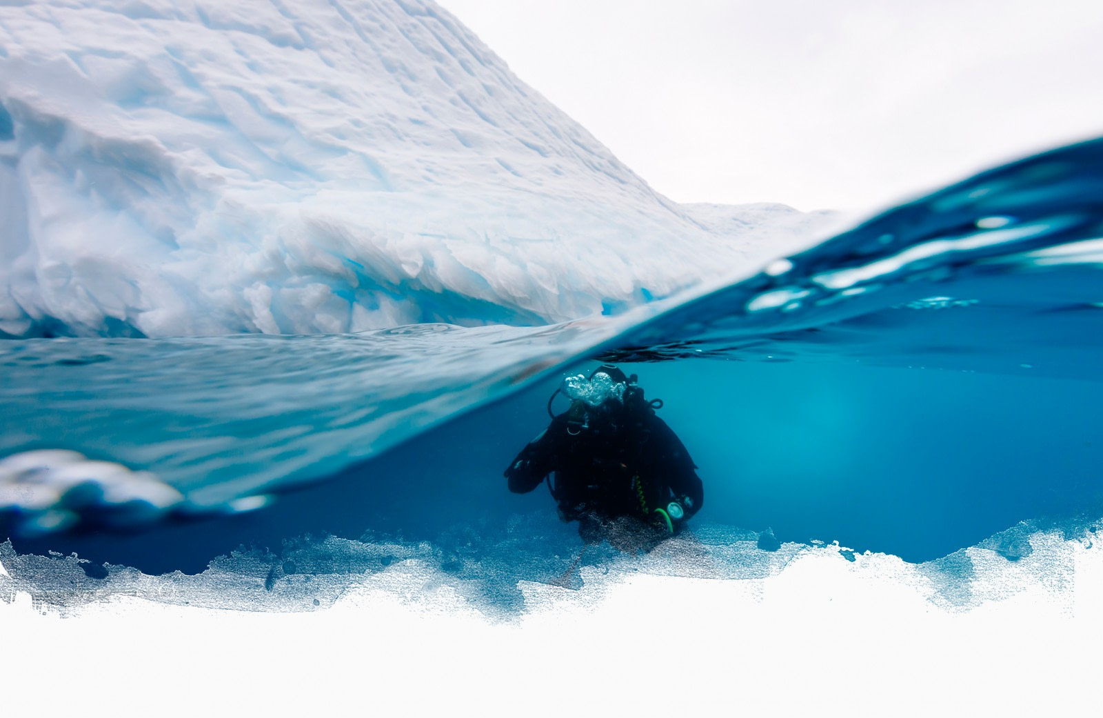 Polar Diving