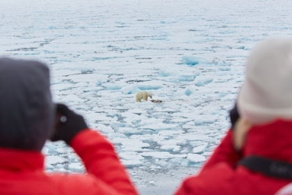 Norte de Spitsbergen, Buscando el oso polar y la bolsa de hielo