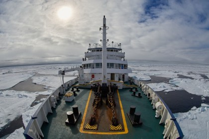 Norte de Spitsbergen, Buscando el oso polar y la bolsa de hielo