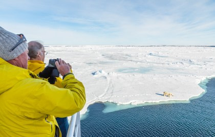 Nord Spitzbergen,  Auf der Suche nach dem Eisbären- & Packeis, Vogelbeobachtung - Sommersonnenwende